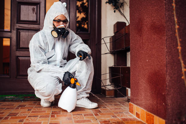 Attic and Crawl Space Rodent Treatment in North Baltimore