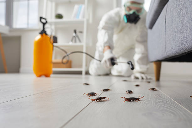 Commercial Rodent Management in North Baltimore